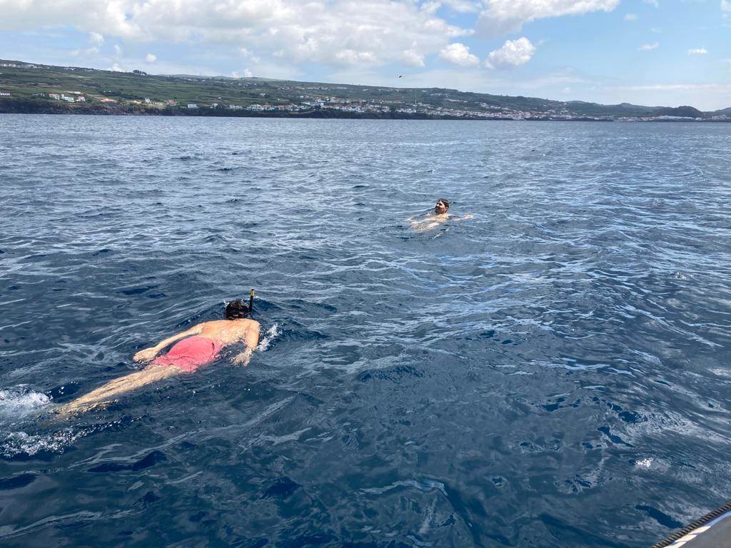 azores_snorkeling azores snorkeling