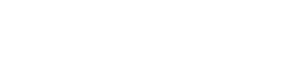 NetworkX logo